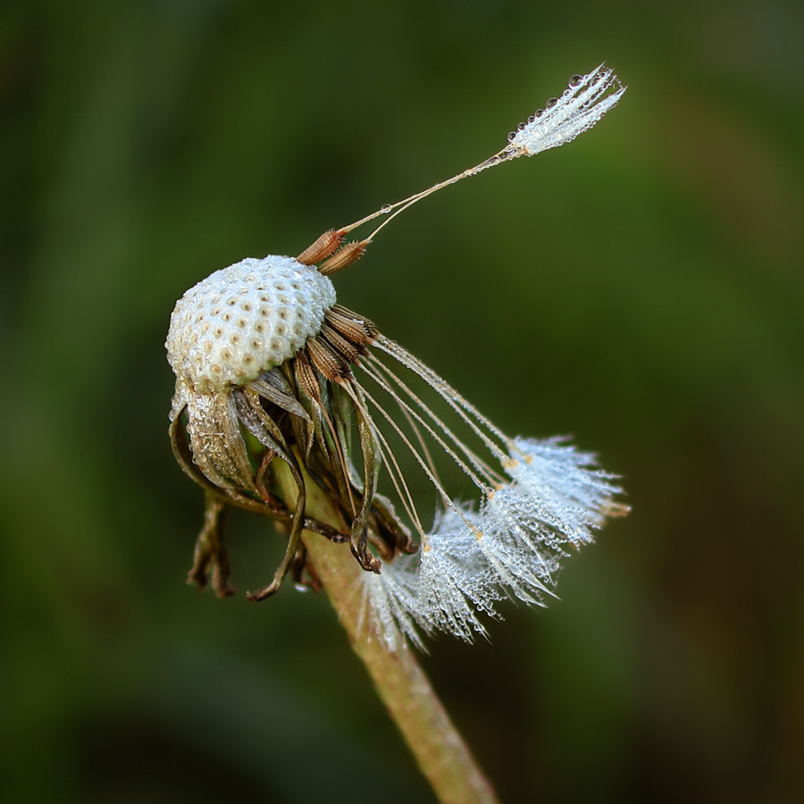Countdown to lift-off Jackie Ayres